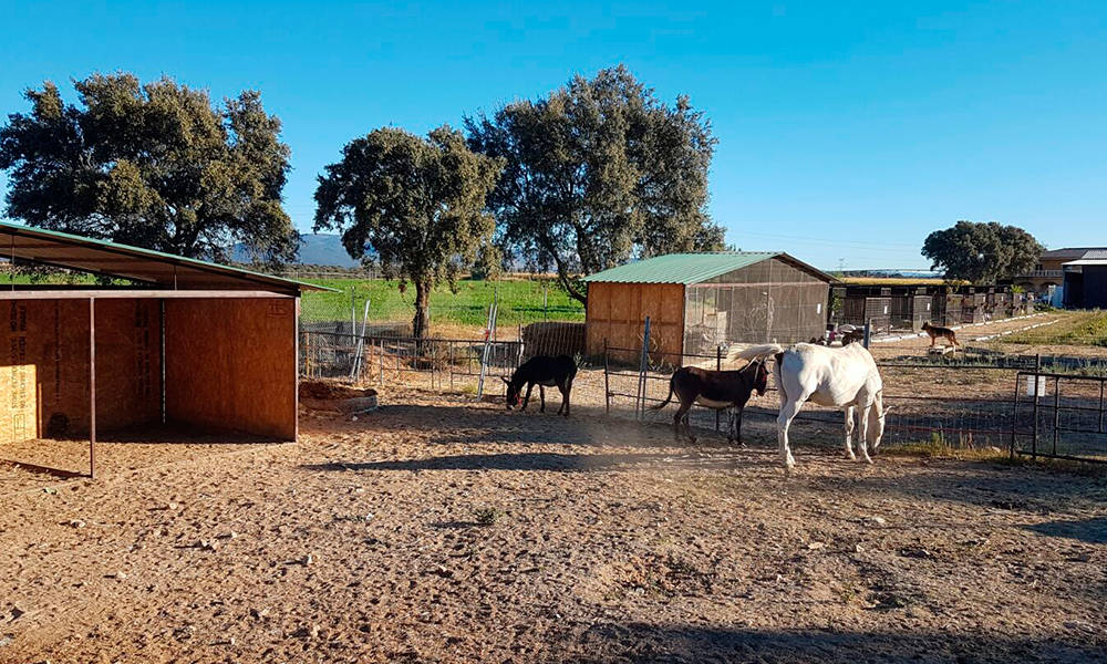 ranch